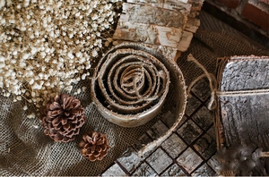 Close-up of natural birch bark roll with rustic dried flowers and pine cones for DIY decor
