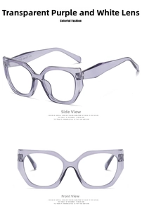 Macro view of transparent purple cat-eye frame showing temple model 9119 engraving