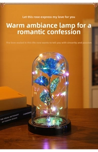 Detail of blue gradient rose in glass dome with warm LED fairy lights and black base