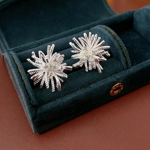 S925 silver firework starburst stud earrings with zircons in a green velvet jewelry box