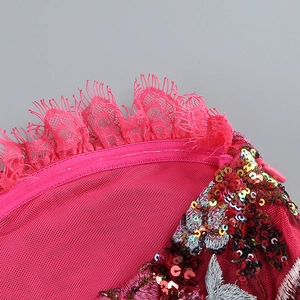 Macro shot of rose red lace trim with shimmering silver sequin embroidery on dress