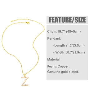 Detail showing the Z initial pendant with dimensions 3.0x1.9cm and a 19.7 inch chain
