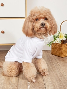 Detail of breathable white mesh pet T-shirt with cute print on a brown poodle