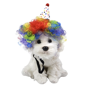 Dettaglio di una parrucca colorata riccia da clown e cappello da festa a pois per cani