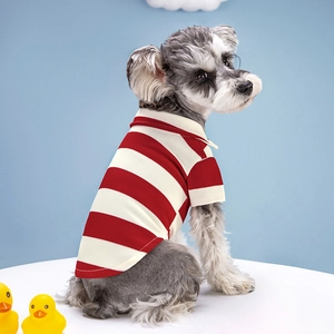 Detail view of the breathable striped Polo shirt on a Schnauzer from a rear side angle