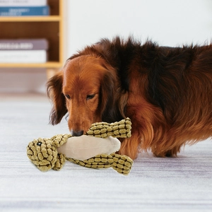Long-haired dachshund puppy chewing on a turtle-shaped plush pet squeak toy at home