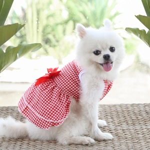 Close-up of a red and white checkered pet dress with a silk bow on a Pomeranian dog