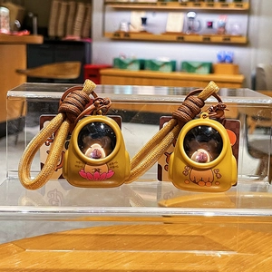 Cute Capybara keychain in transparent space capsule with woven lanyard for backpacks