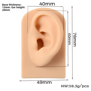 Detailed size diagram for a flesh-colored silicone ear model for jewelry display