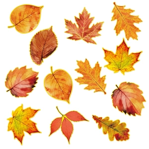 Autumn Maple Leaves Wall Stickers Cardstock Paper Leaf Cutouts For Thanksgiving Harvest Party Home Window Decor