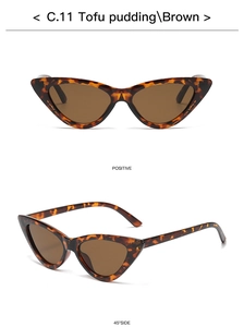 Front and 45-degree side views of brown cat-eye sunglasses with triangle frames