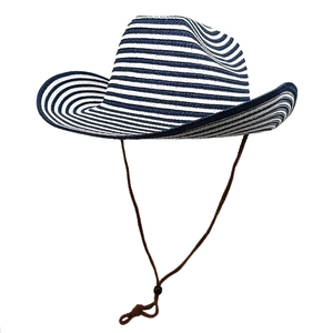 Detailed texture of blue and white striped straw cowboy hat with adjustable chin strap