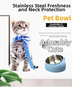 Close-up of 304 stainless steel inner bowl with light blue cat ear plastic base