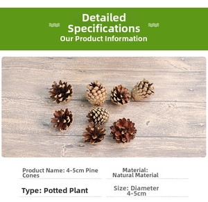 Macro shot of 4-5cm natural pine cones for DIY crafts and rustic home decor