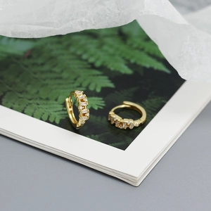 Detail of gold-plated S925 silver hoop earrings with diamonds on a botanical book cover