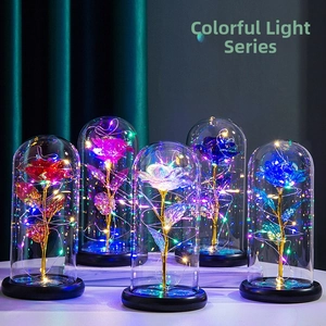 Detailed view of five colorful LED preserved roses in glass domes for romantic gift decor