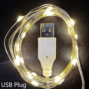 Warm white LED copper wire fairy lights with USB plug for festive home decoration