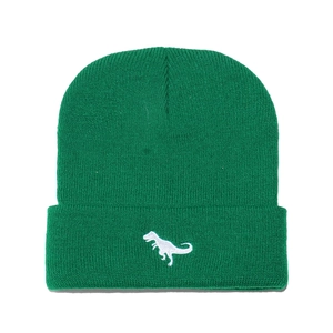 Close-up of green knitted beanie with white dinosaur embroidery detail and ribbed texture