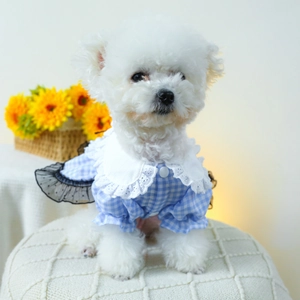 Robe de princesse pour chien à carreaux bleu et blanc avec col en dentelle blanche