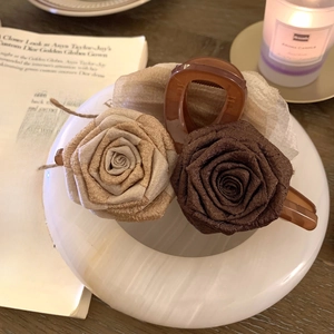 Detail der eleganten Organza-Rosen-Haarklammer mit champagnerfarbenen Stoffblumen
