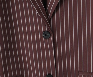 Detail of notch lapel and black buttons on brown striped fabric long sleeve blazer