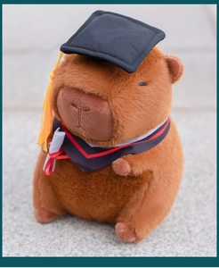 Detailed view of Capybara plush toy wearing black graduation cap and academic gown