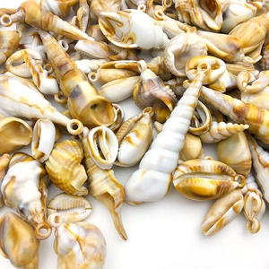 Detailed close-up of mixed natural seashell pendants with metal loops for DIY jewelry