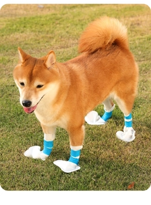 Detail van waterdichte wegwerpschoenen voor honden met blauwe klittenband op pootjes