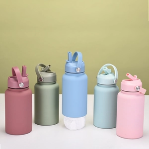 Selection of 650ml matte stainless steel sports bottles with carry handles and straws