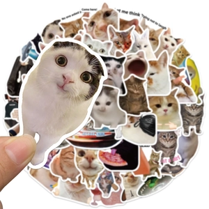 Variety pack of 50 funny meme cat stickers featuring expressive feline poses and humorous text