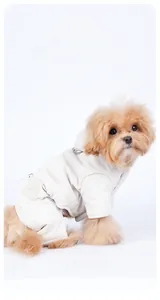 Detail view of the waterproof cream dog winter coat with metal D-ring leash attachment