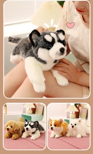 Close-up of realistic plush dogs like Husky and Corgi with soft synthetic fur texture