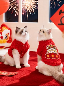 Festive red pet clothes with lion dance embroidery for cats and small dogs during New Year