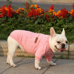 Pink knitted pet sweater with Classic leather label on a French Bulldog outdoors
