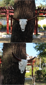 Detailed resin cow skull wall decor with textured horns mounted on a tree trunk