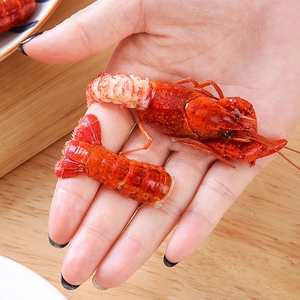 Realistic artificial red crawfish food model set for display and photography props