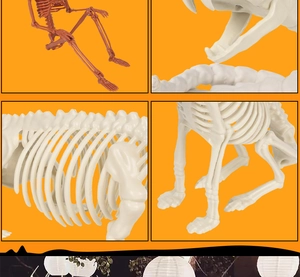 Detailed Halloween animal and human skeletons set for spooky party haunted house decor