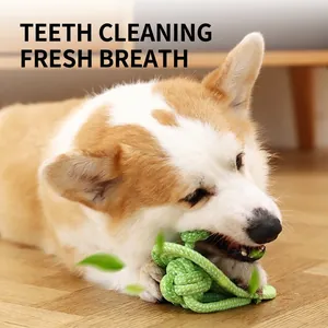 Corda per cani in cotone resistente, ideale per la pulizia dei denti e il gioco attivo