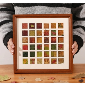Close-up of 36-grid wooden frame with various dried autumn leaves and maple leaf specimens