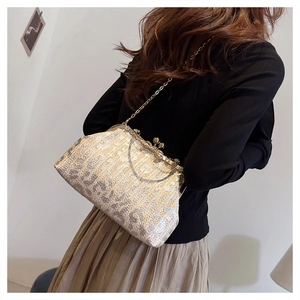 Macro detail of sparkly silver evening clutch bag with metal frame and chain strap