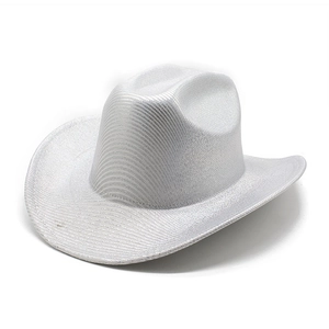 Close-up of a silver glitter western cowboy hat with a wide brim for party performances