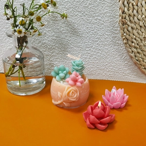 Moule En Silicone Succulente Cactus Pour Bricolage Bougie Parfumée Résine Plâtre Flexible Antiadhésif Matériau Qualité Alimentaire