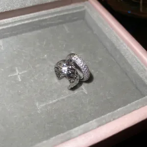 Lot de bagues d'oreilles géométriques en argent avec zircons présentées dans un écrin à bijoux
