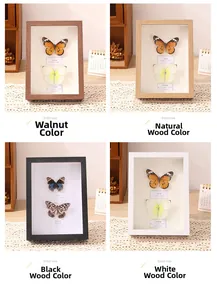 DIY butterfly specimens in walnut, natural, black, and white wood shadow boxes