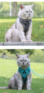 Detail of reflective breathable cat harness with safe metal D-ring in grey and blue colors