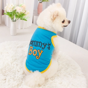 Blue pet vest with Mommy's Boy text on a white dog sitting on a soft rug