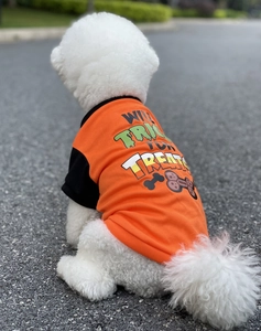 Macro detail of Halloween pet T-shirt with orange-black color block and festive text