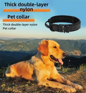 Detail of heavy-duty double-layer nylon dog collar with high-strength metal buckle and D-ring