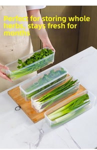 Set of four transparent rectangular herb storage containers for long vegetables and scallions
