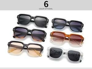 Showcase of six stylish square sunglasses in varied colors with gold metal temple accents